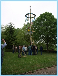 True color (24 bit)P5010579.JPG