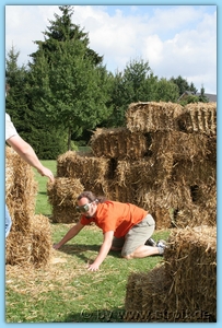 True color (24 bit)IMG_5480.JPG