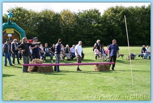 True color (24 bit)IMG_5539.JPG