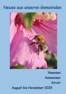 Aktueller Gemeindebrief